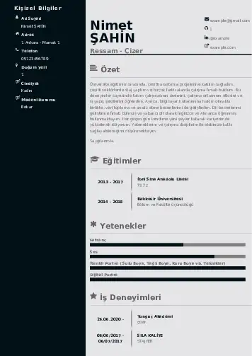 Ressam Cv Örnekleri cv indir